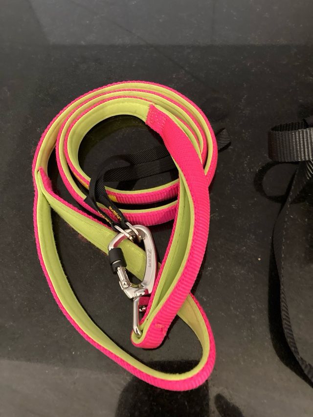 Correa doble roja para perros