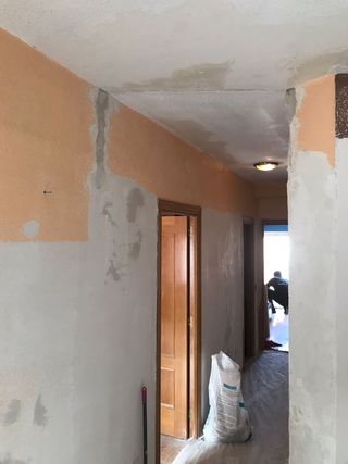 Pintor profecional /quitar getoles/ 

