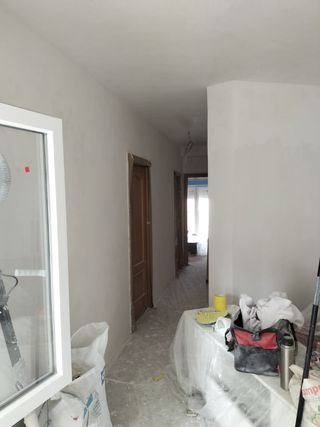 Pintor profecional /quitar getoles/ 

