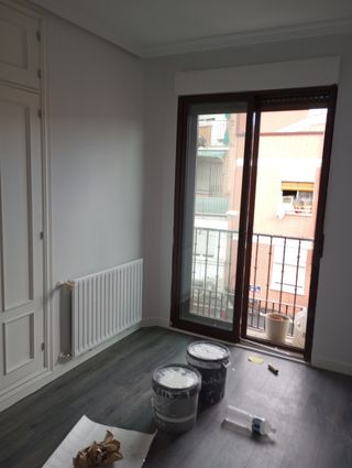 Pintor profecional /quitar getoles/ 

