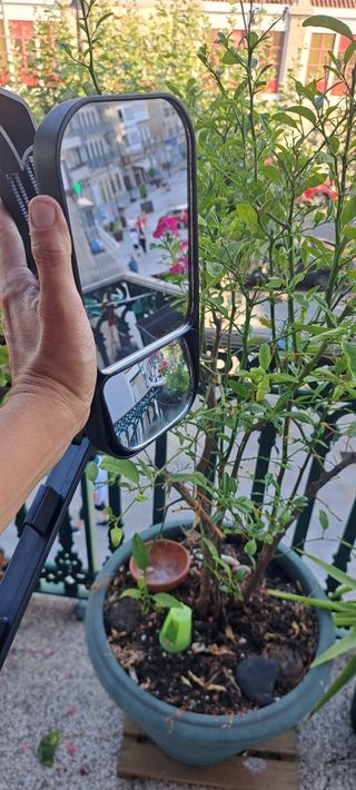 Espejo retrovisor caravana / autocaravana