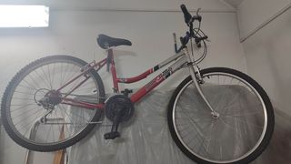Bicicleta Globetrotter roja