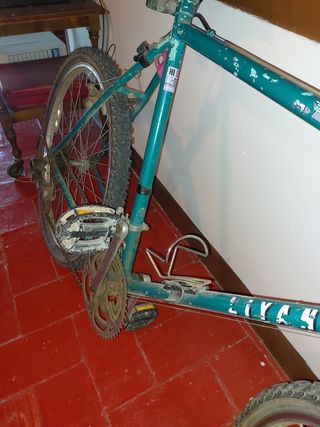 Bicicleta montaña clásica con marchas