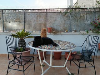 2 Sillas terraza vintage