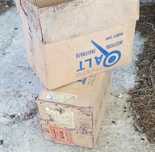 Insetticida ALT - 100cc - Lot