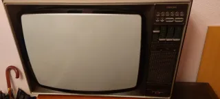 Televisión Philips antigua marrón