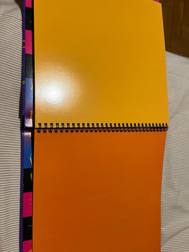 Animales: La Magia del Color