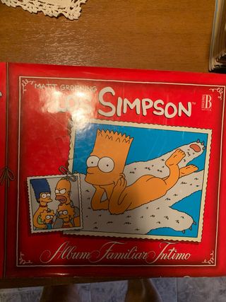 Los Simpson: Álbum familiar íntimo