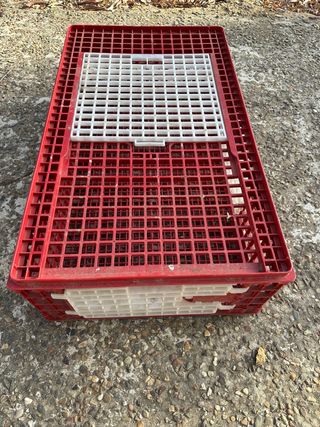 Caja transporte aves Gaun