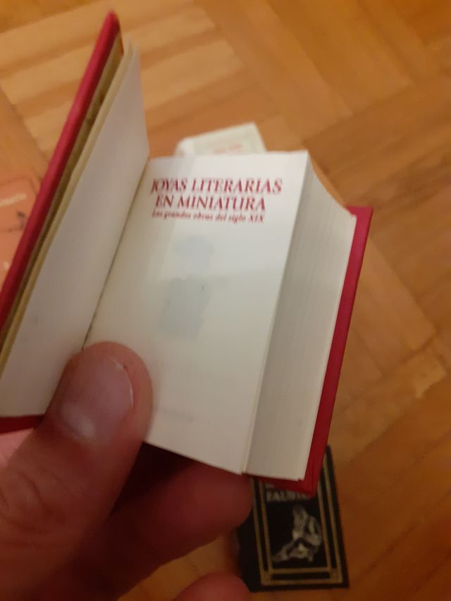 Joyas literarias en miniatura 