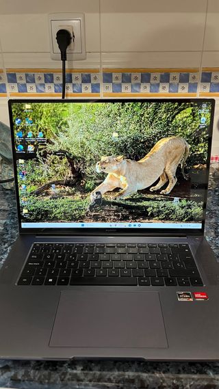 HUAWEI MateBook 16 Gris - Ryzen 5