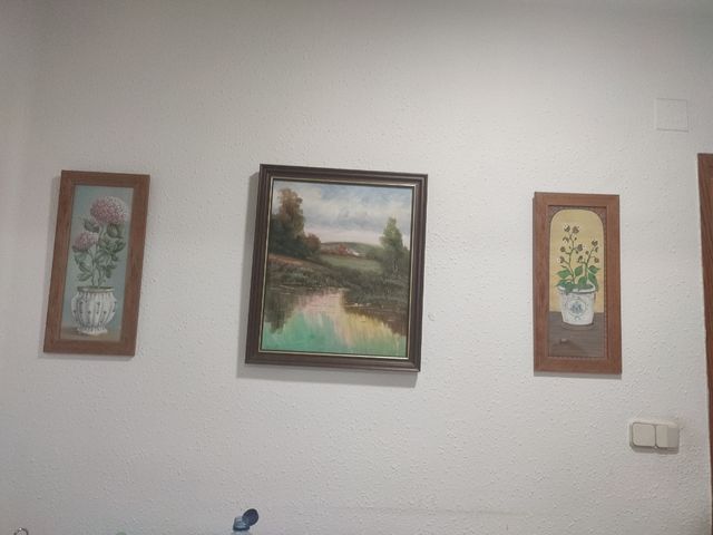3 Cuadros decorativos