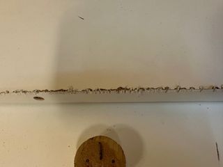 Cuna convertible Alondra - Rosa