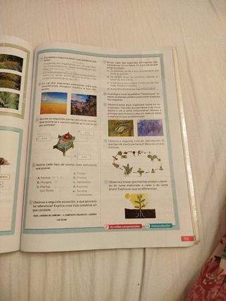 Bioloxía e Xeoloxía. 1 Secundaria. Revoa