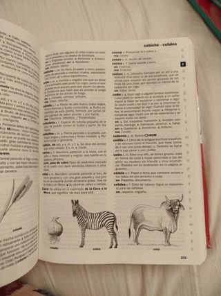 NUEVO DICCIONARIO ESCOLAR DE LA LENGUA ESPAÑOLA...