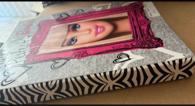 Carpeta Barbie: ¡Perfecta!