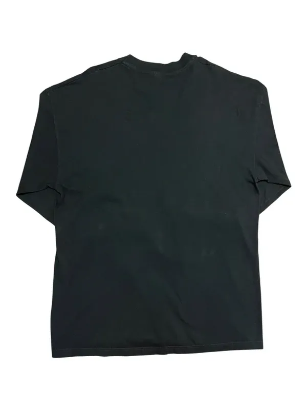 Camiseta Vintage Looney Tunes Taz 1996 Hanes USA