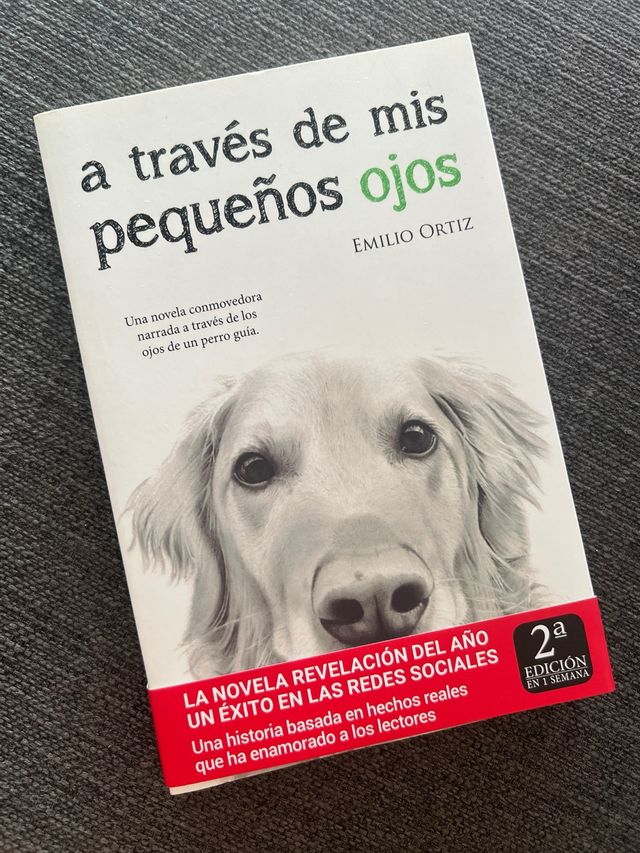 A través de mis pequeños ojos
