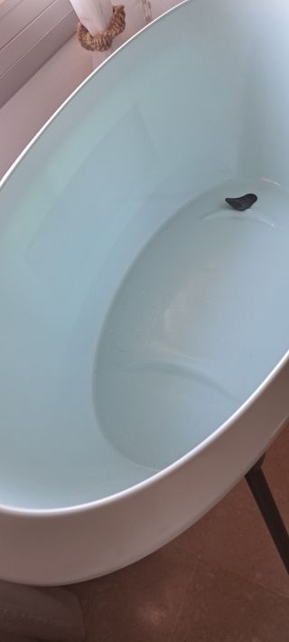 Bañera bebé Luma Mint + reductor