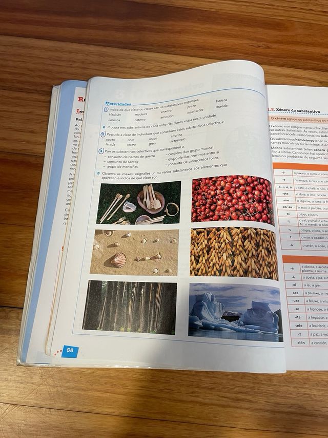 Libro Galego 1º Bacharelato - Anaya