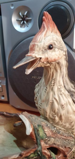 Pájaro carpintero resina