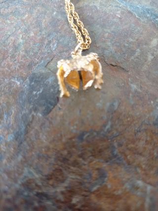 Colgante chaquetilla y cadena 
