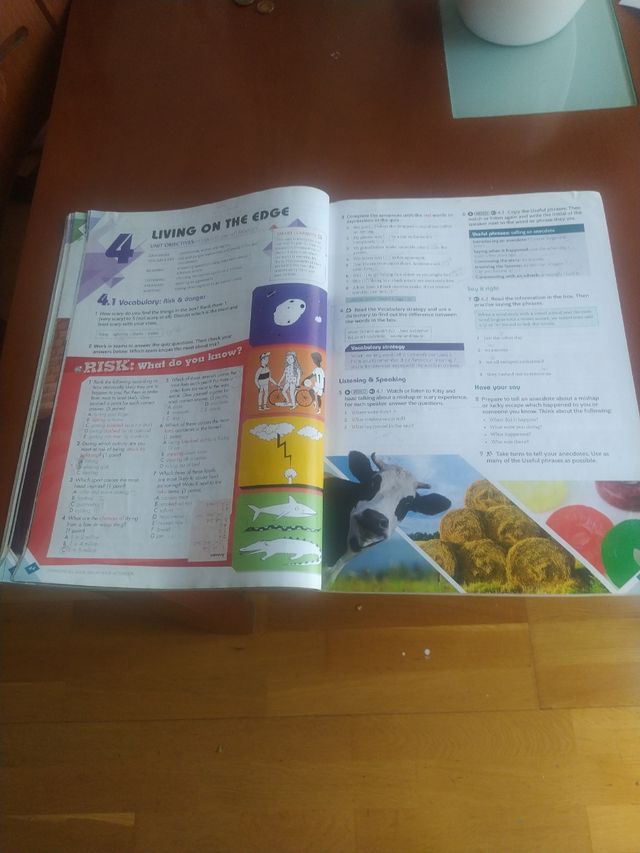 Reach Up 2. Student's Book