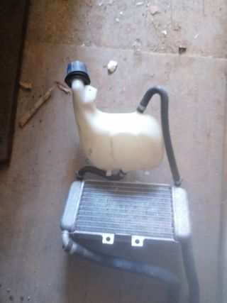 Radiatore + Vaschetta Piaggio NRG