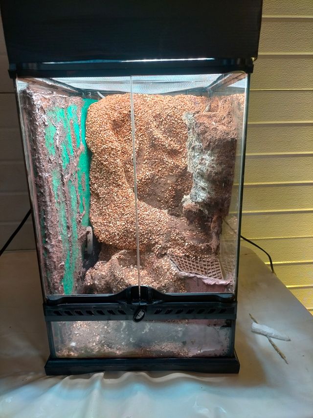 Terrario para cangrejos vampiro