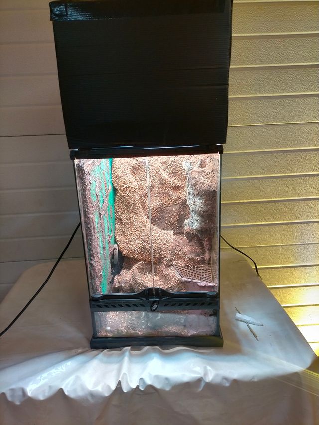 Terrario para cangrejos vampiro