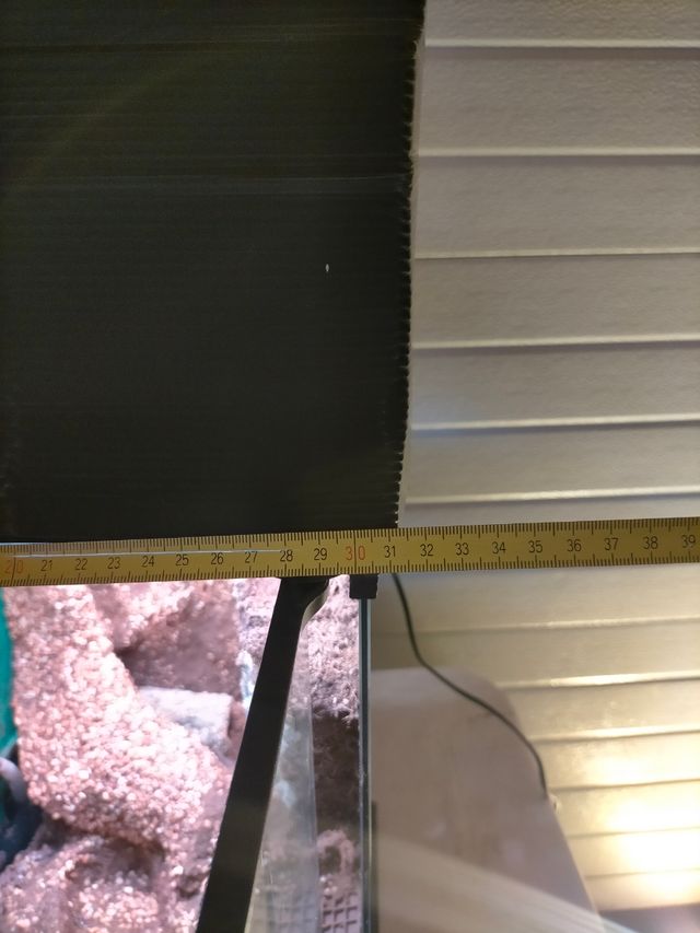 Terrario para cangrejos vampiro