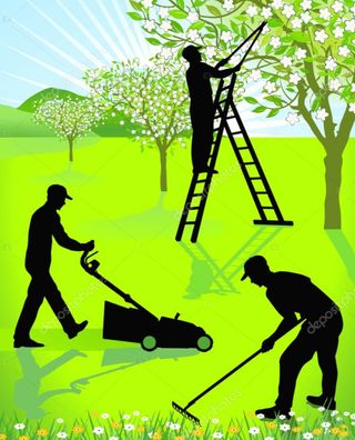 Se realizan trabajos de jardinería 