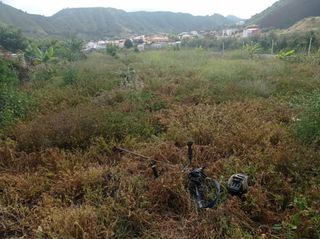 Se realizan trabajos de jardinería 