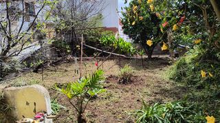 Se realizan trabajos de jardinería 