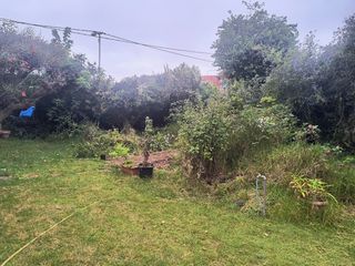 Se realizan trabajos de jardinería 