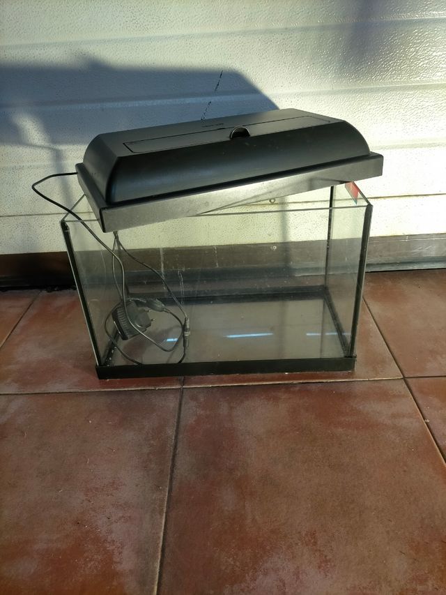 Acuario terrario 40x22,5x26,5