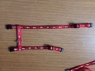 Pettorina e guinzaglio coniglio nano