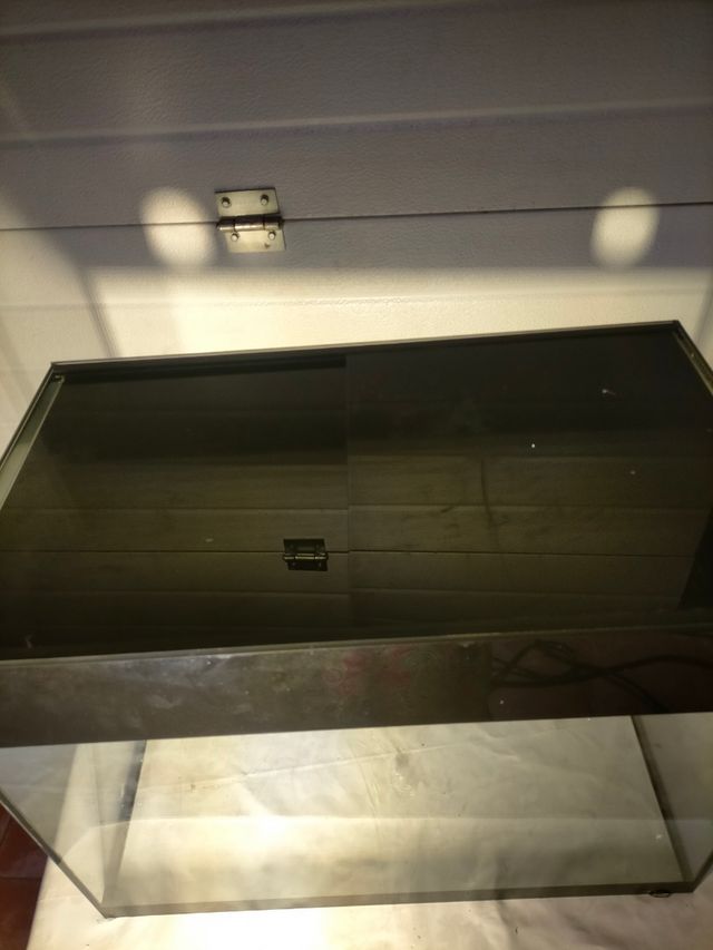 Acuario terrario 60x35x45 cm