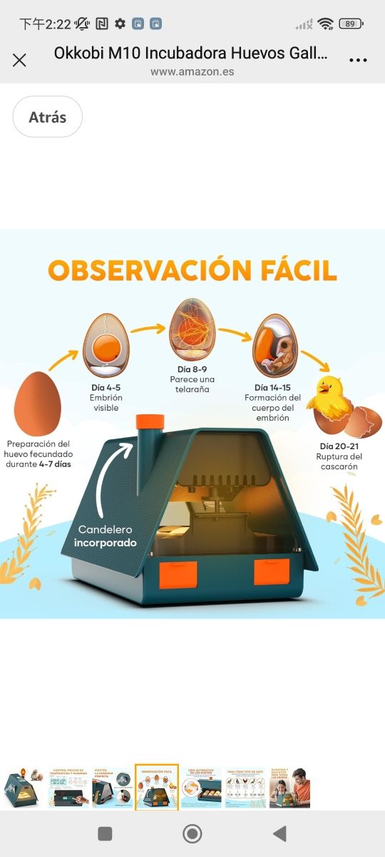 Okkobi M10 Incubadora Huevos Gallina - Ideal para