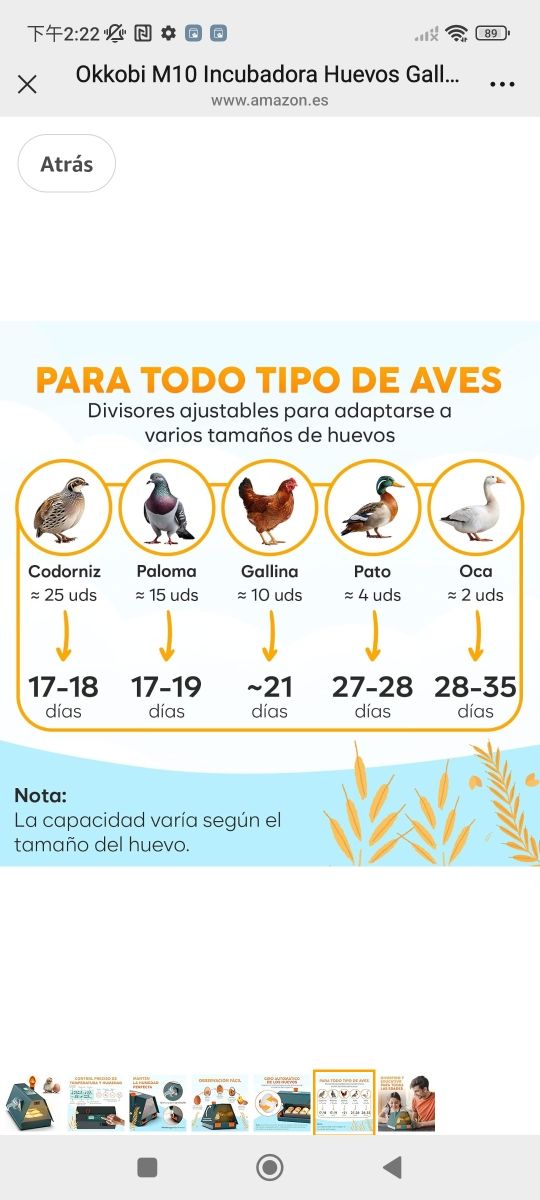 Okkobi M10 Incubadora Huevos Gallina - Ideal para