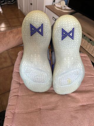 Zapatillas Nike PG 2 Gris-Morado