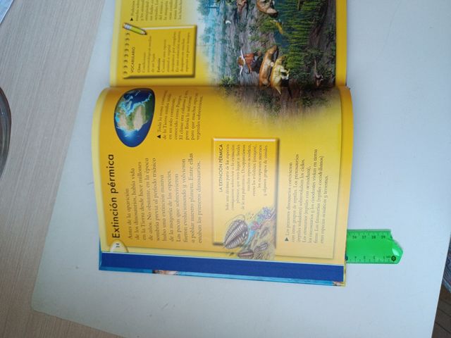 Todo lo que necesitas saber sobre los dinosaurios