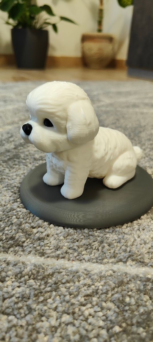Miniatura Cane Maltese 3D