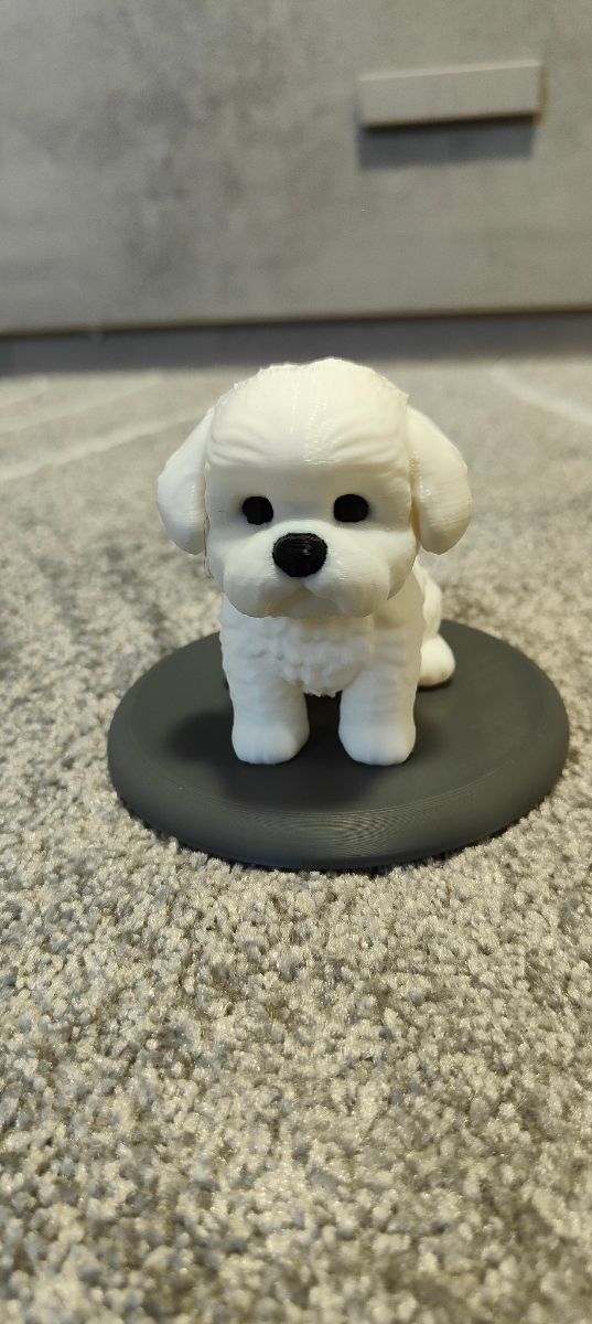 Miniatura Cane Maltese 3D