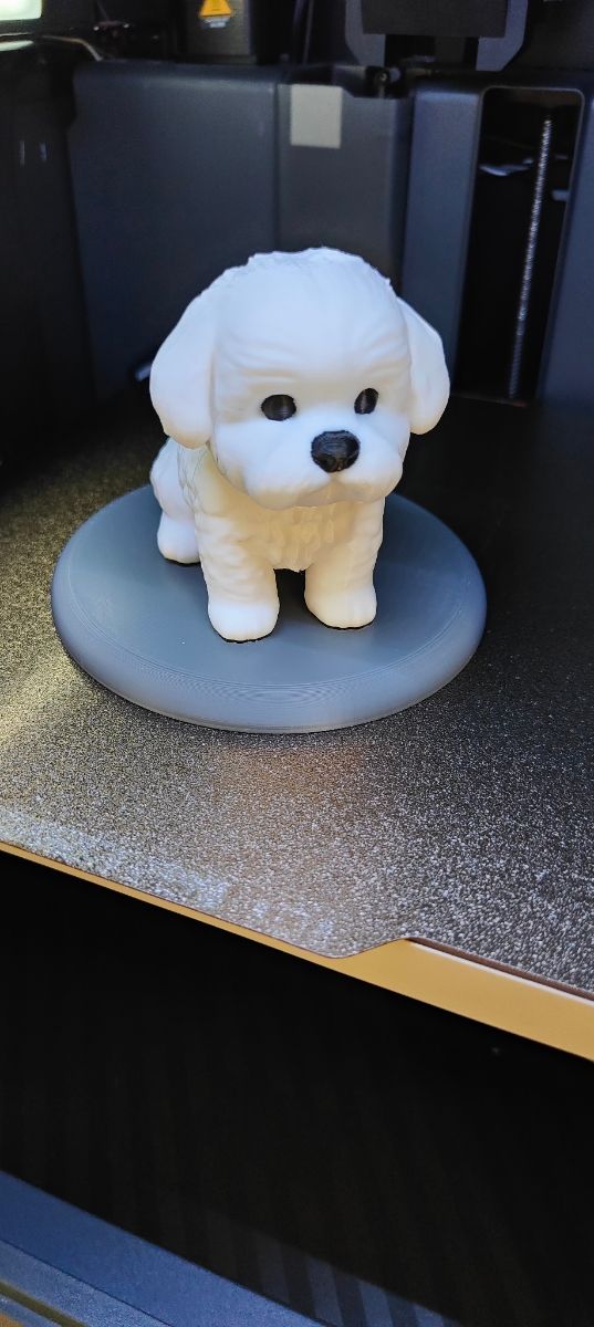 Miniatura Cane Maltese 3D