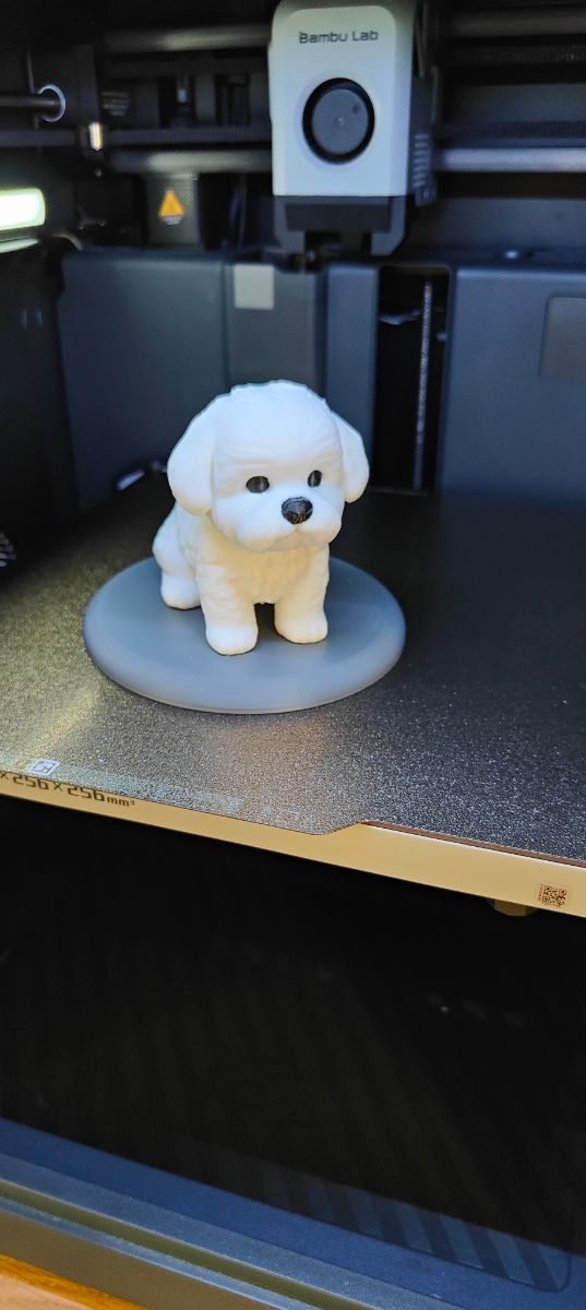 Miniatura Cane Maltese 3D
