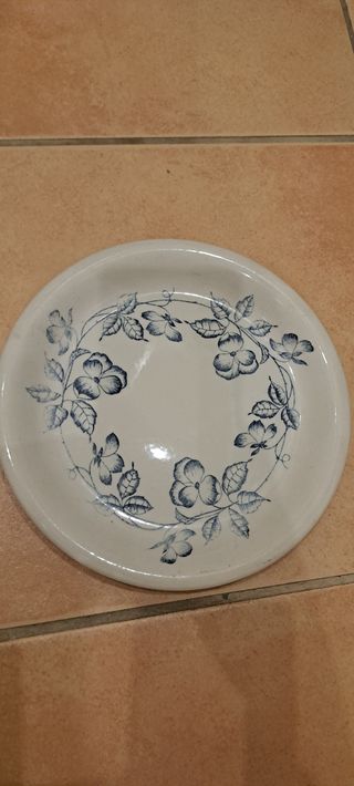 Platos porcelana azul y blanco pontesa