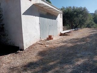 Cortijo con huertos, agua y olivos