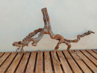 Raíz/tronco Decoración acuario