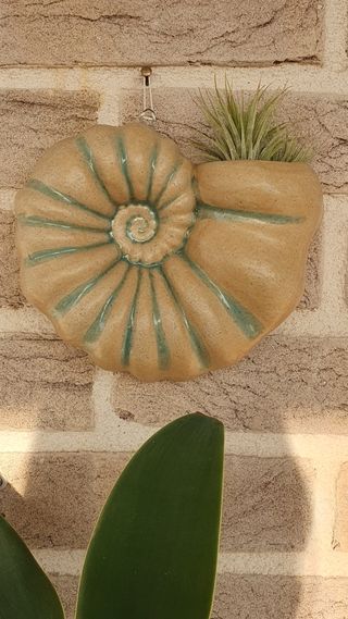 Vaso Ceramica Nautilus - Murale